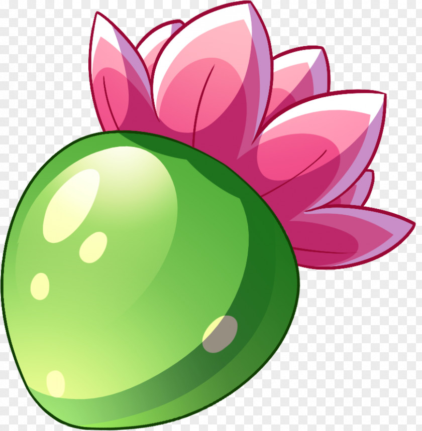 Leaf Petal Green Plant Fruit PNG