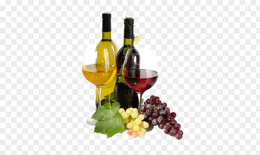 Wine Red Juice Common Grape Vine PNG