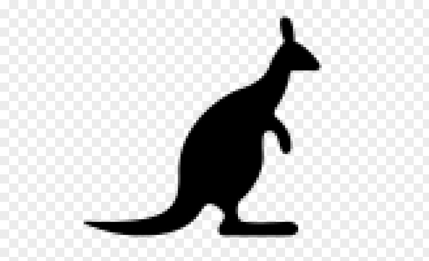 Animal Silhouettes Macropodidae Kangaroo Clip Art PNG