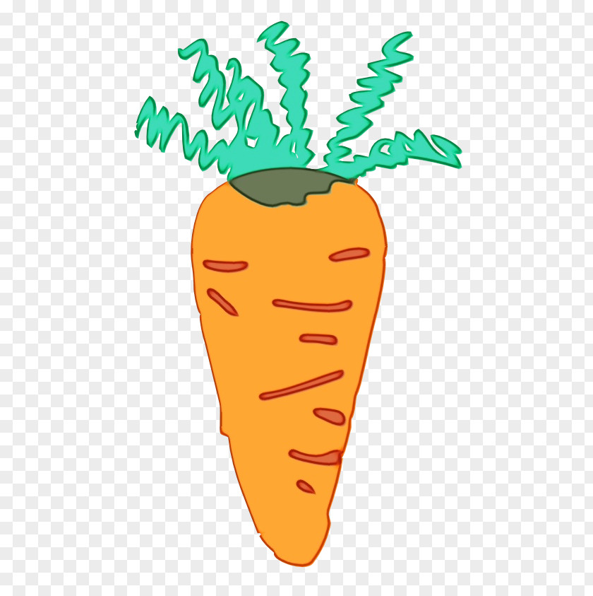 Food Side Dish Carrot Root Vegetable Clip Art Plant PNG