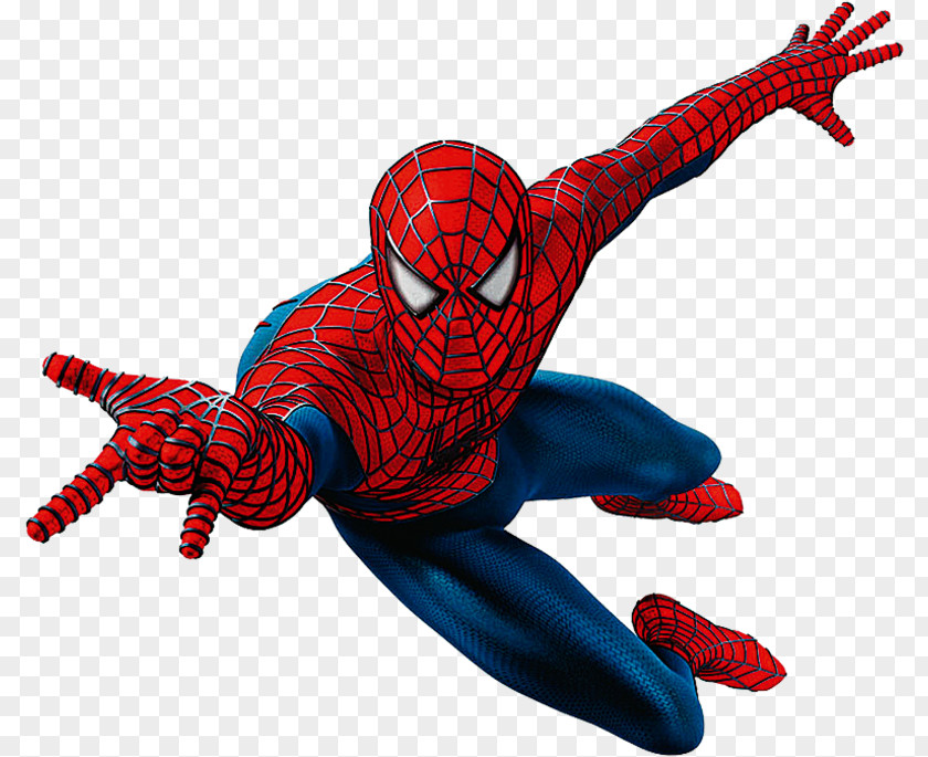 Homem Spider-Man Clip Art Image Transparency PNG