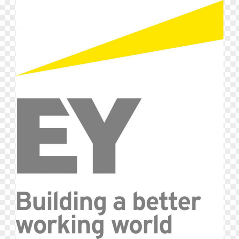 Mckinsey 7-s Framework Ernst & Young Entrepreneur Of The Year Award Logo Company Service PNG