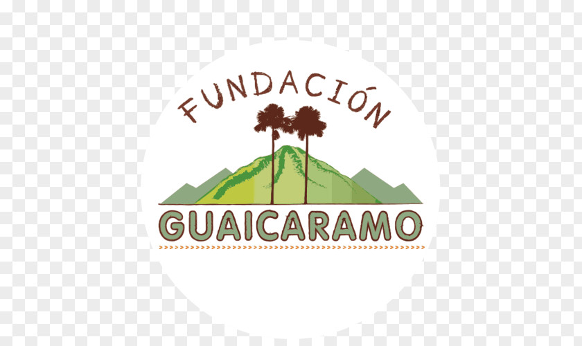 Misk Fundacion GUAICARAMO Foundation Empresa Non-profit Organisation PNG