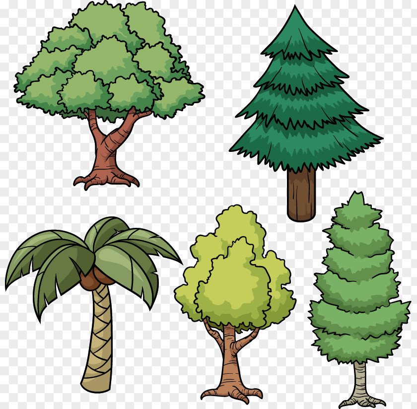 Painted Green Tree Coconut Pattern Drawing Cartoon Pine PNG