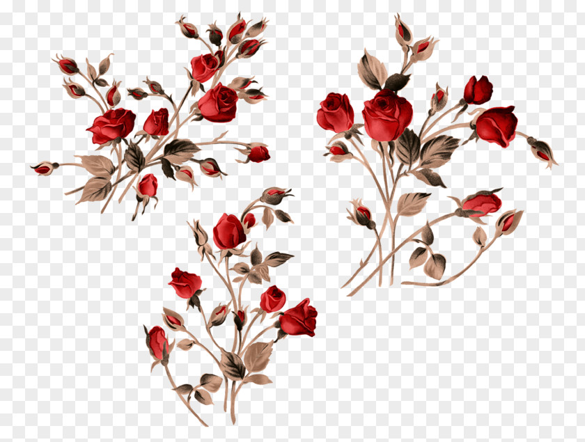 Rose Clip Art Vector Graphics Image PNG