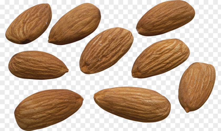 Almond Physical Map Nut Milk Biscuit PNG