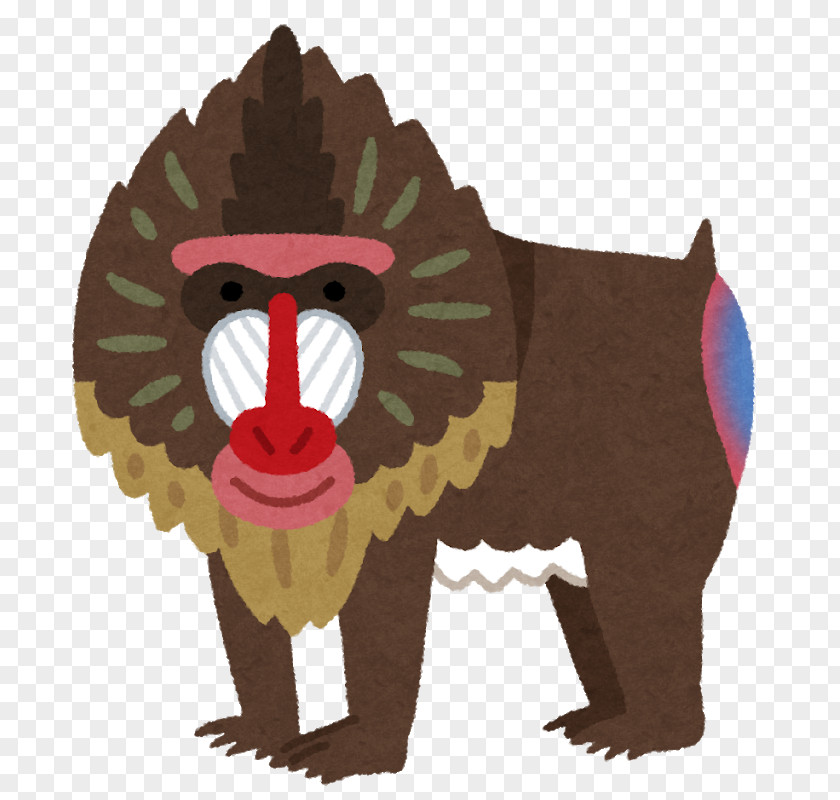 Mandrill Hitachishi Kamine Zoo いらすとや PNG