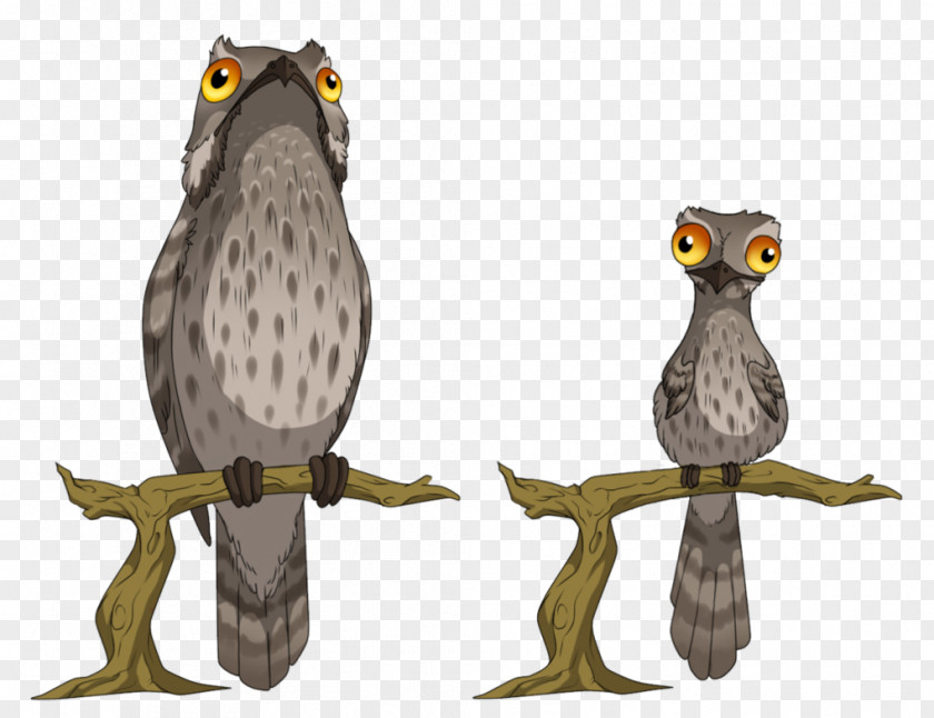 Owl Tawny Bird Potoo Great Grey PNG