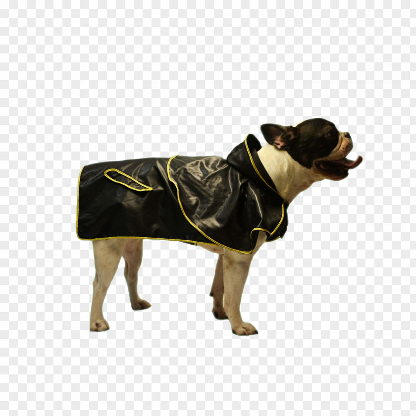 A Dog With Gold Ingot Raincoat Breed T-shirt Hoodie Clothing PNG