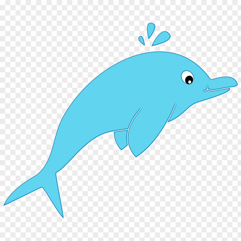 Common Bottlenose Dolphin Clip Art Tucuxi Illustration PNG