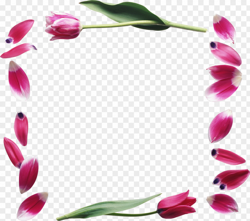 Flower International Women's Day Holiday Tulip Woman PNG