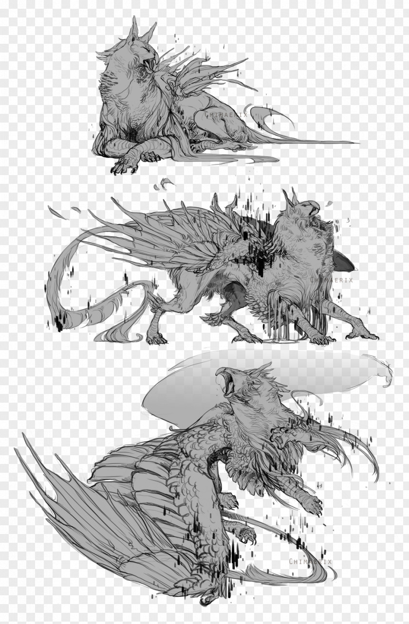 Gryphon Sketch Drawing Concept Art Dark Souls Illustration PNG
