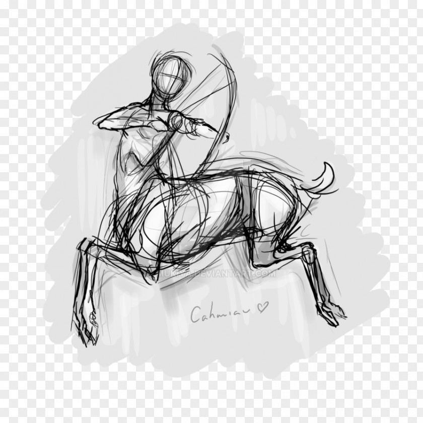Horse Drawing Line Art Sketch PNG