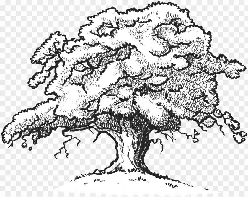 Blackandwhite World Oak Tree Drawing PNG