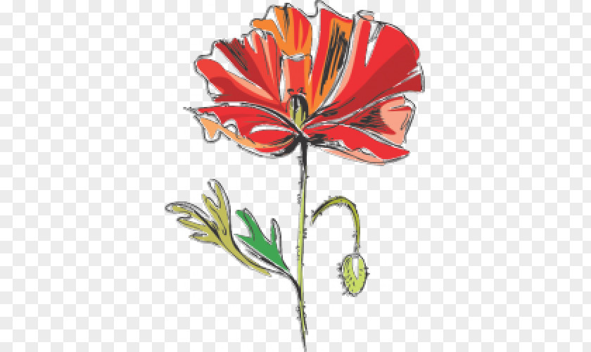 Flower Cut Flowers Poppy Petal Clip Art PNG