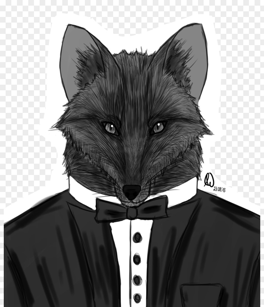 Mr Fox Whiskers Cat Dog Canidae Snout PNG