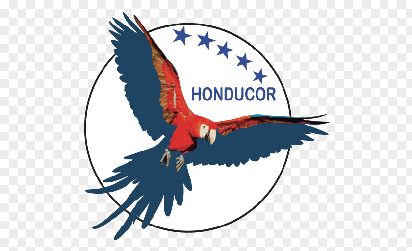 Android Application Package Honducor Mobile App Honduras PNG