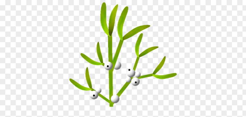 Branch Vegetation Plant Stem Tree PNG