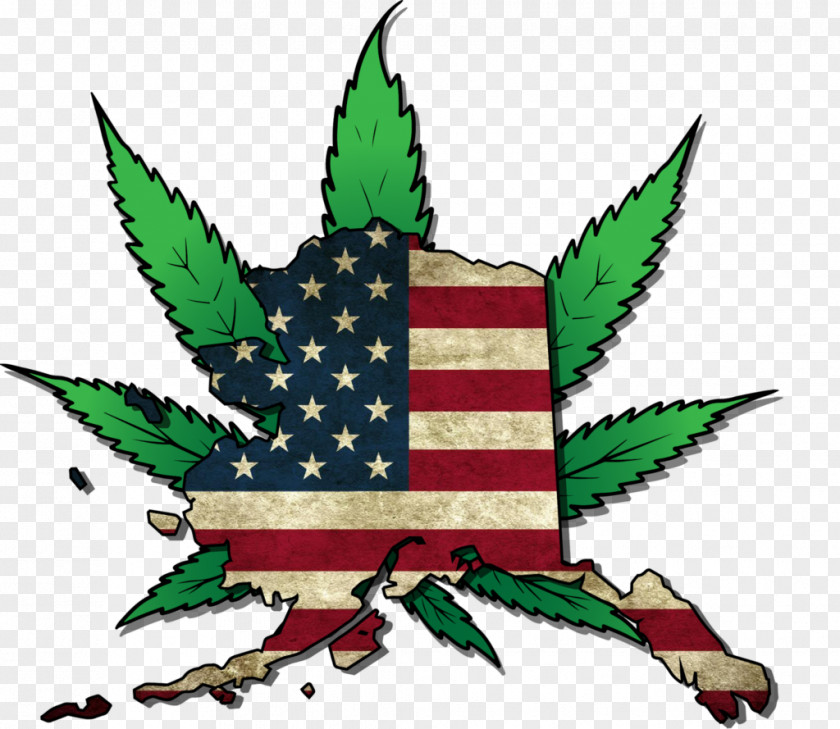 Marijuana Alaska War On Drugs Legality Of Cannabis Medical PNG