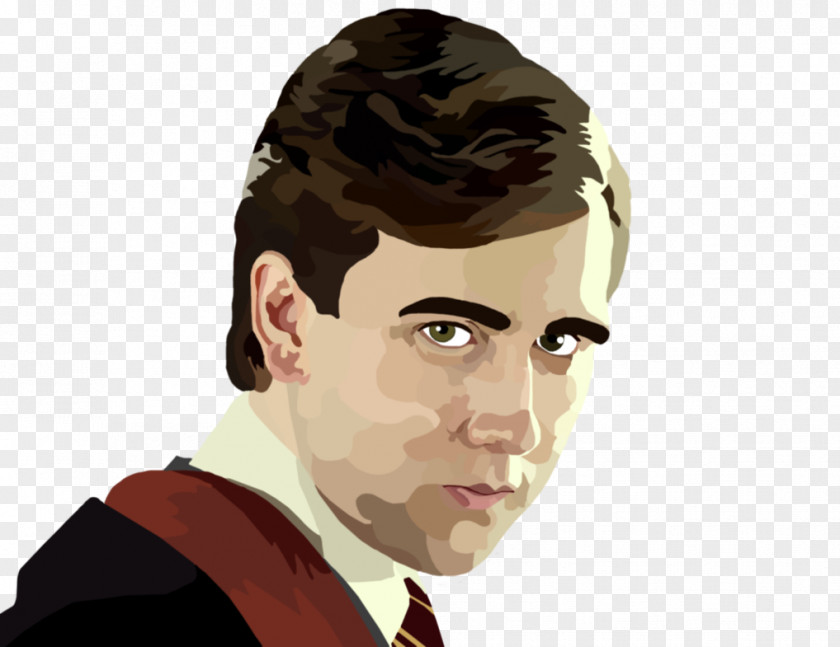 Painter Neville Longbottom Hermione Granger Albus Dumbledore Draco Malfoy Ginny Weasley PNG