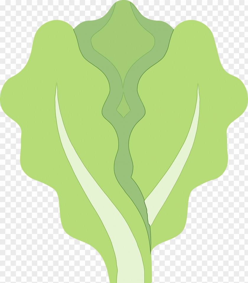 Green Leaf Plant Pattern PNG