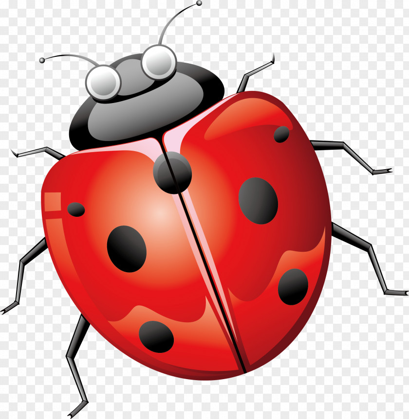 Seven Star Ladybug Vector Element Ladybird Beetle Euclidean PNG
