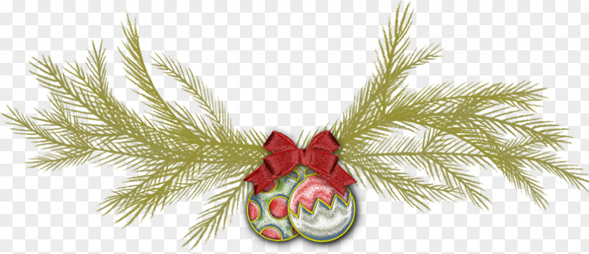 Allu Arjun Christmas Ornament Fir Spruce Pine PNG