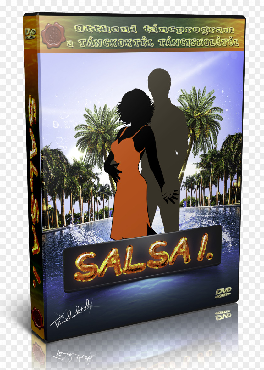 Dvd Salsa Dance DVD Társastánc Bachata PNG