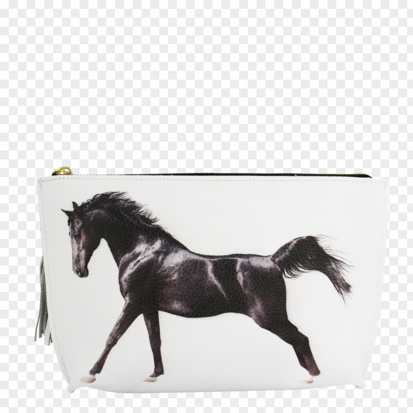 Horsehead Printing Arabian Horse Akhal-Teke Stallion Gallop Black PNG