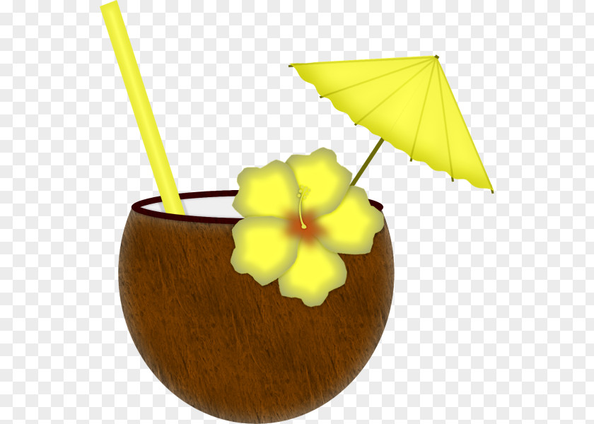 Summer Tropical Clip Art Hawaiian Language Aloha Image PNG