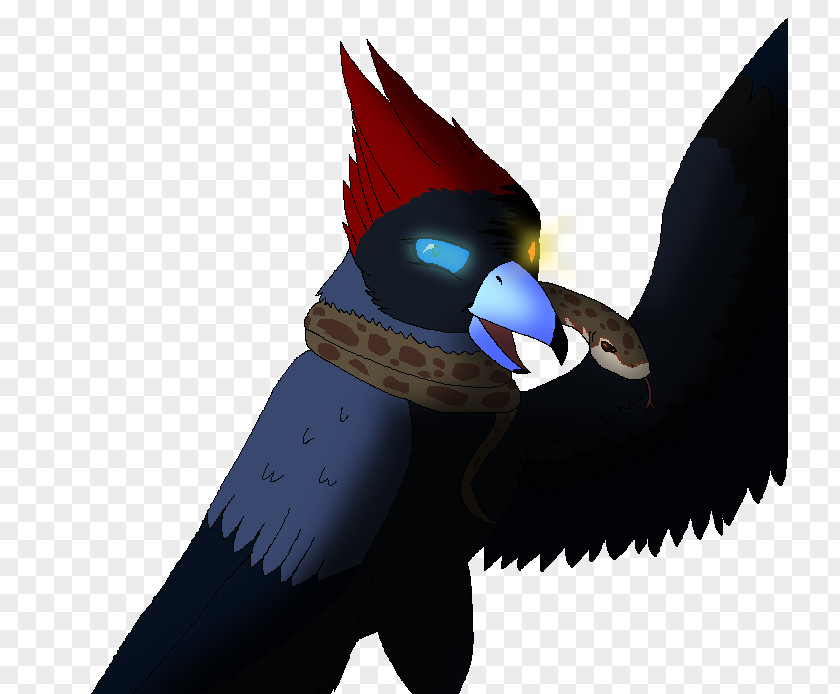 Birdy Beak PNG