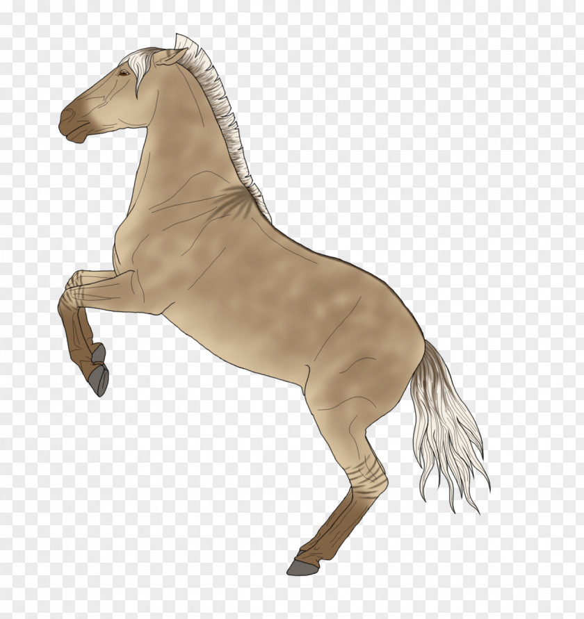 Lannister Lion Mustang Stallion Mare Rein Quagga PNG