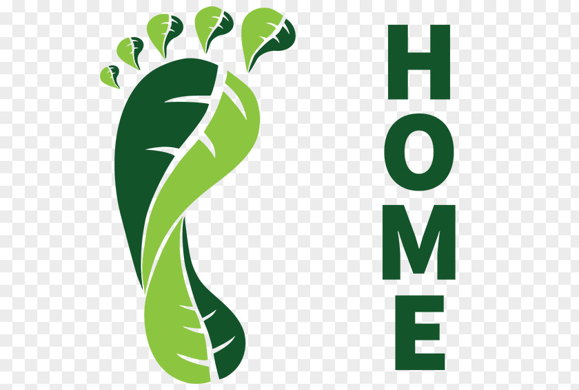 Leaf Logo Brand Human Behavior Product PNG