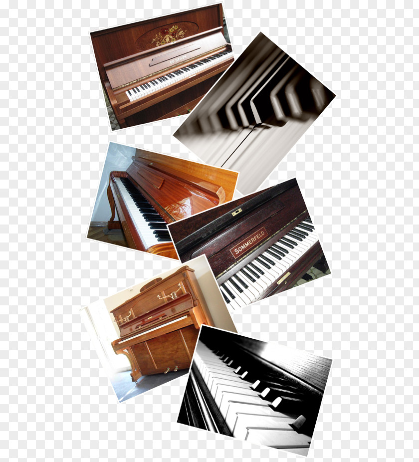 Piano Fortepiano Player Musical Keyboard Digital PNG