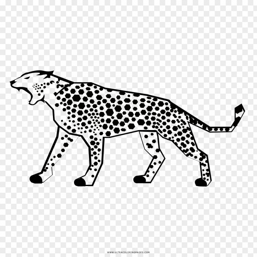 Cat Cheetah Jaguar Ocelot Tiger PNG