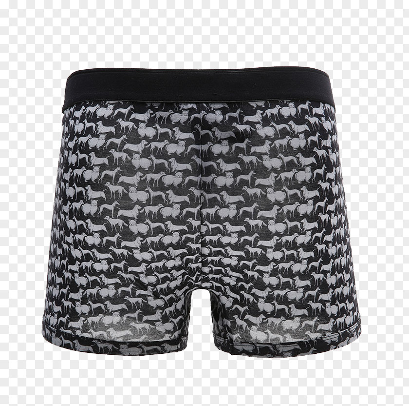 Dolce & Gabbana Black Belt Underwear Animal Shading Positive Swim Briefs Underpants Trunks Google Images PNG