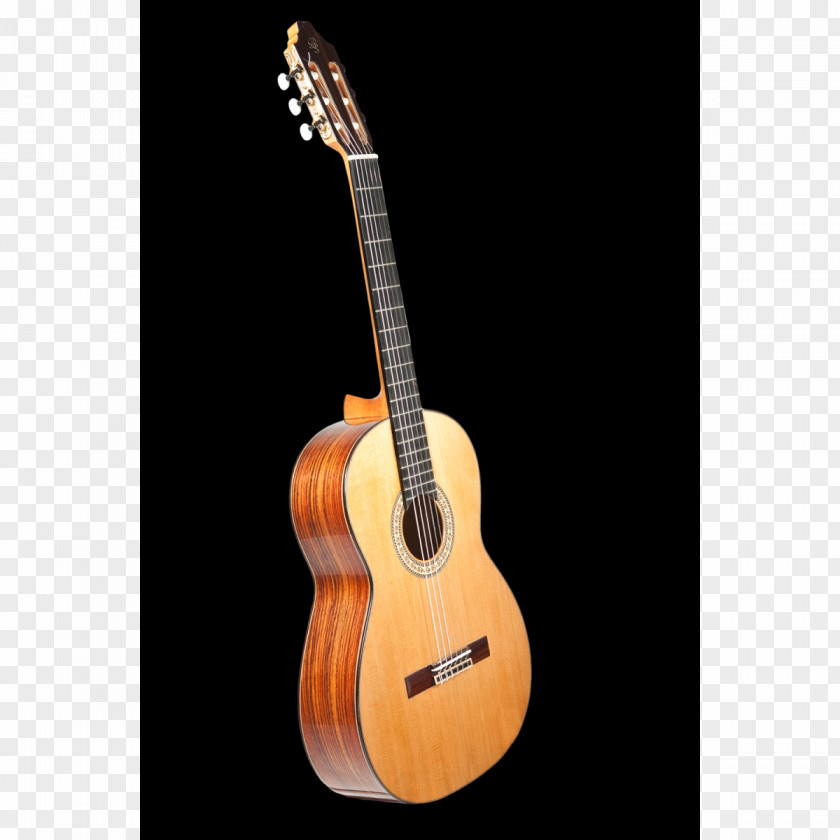 Electric Guitar Ukulele Flamenco Fender Telecaster Cutaway PNG