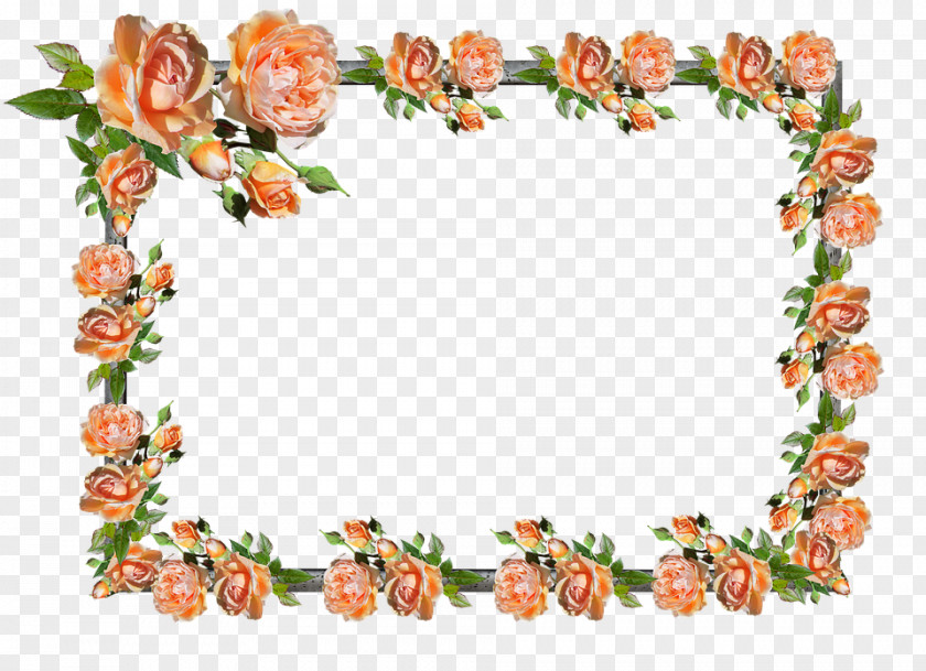 Flower Floral Design Picture Frames Clip Art Borders And Image PNG
