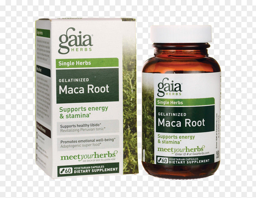 Maca Root Dietary Supplement Herb Vegetarian Cuisine Vegetable PNG