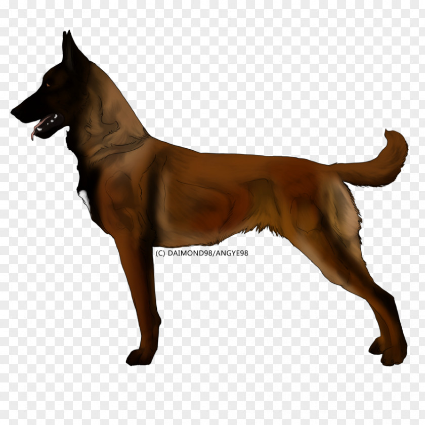 T-shirt Dog Breed German Shepherd Belgian Malinois Tervuren PNG