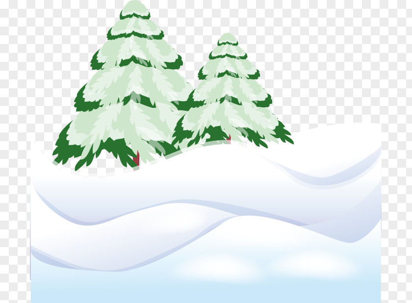 Winter Trees Christmas Tree Pine Fir PNG
