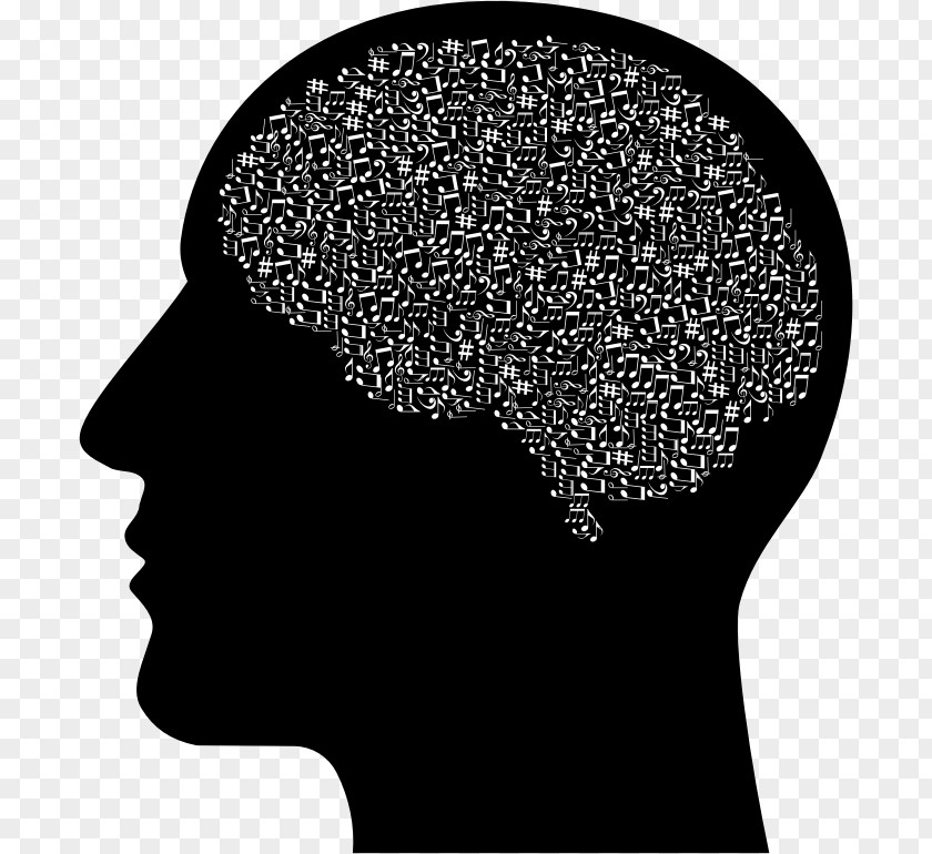 Brain Human Head Neuron Clip Art PNG