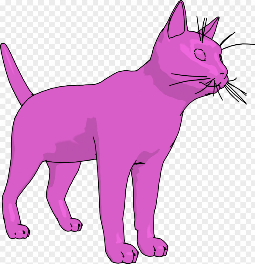 Cattery Background Whiskers Clip Art Pink Cat Persian PNG