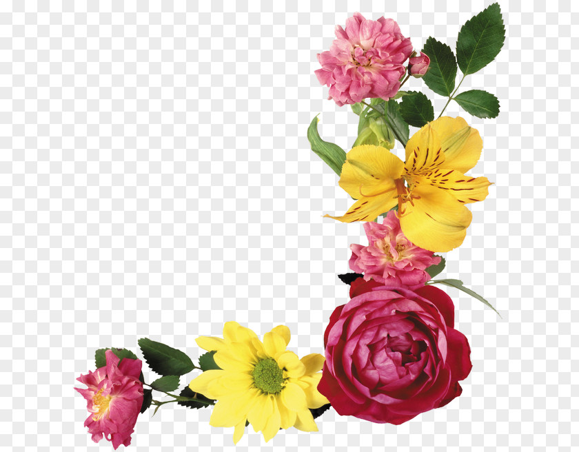 Flower Garden Roses Cut Flowers Clip Art PNG