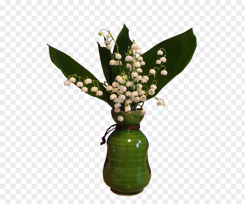 Flower Lily Of The Valley Clip Art PNG