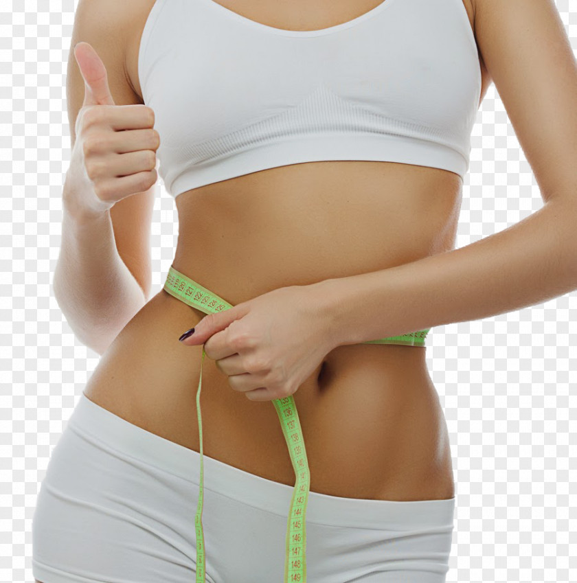 Health Weight Loss Dieta Do Metabolismo Rápido Abdominal Obesity PNG