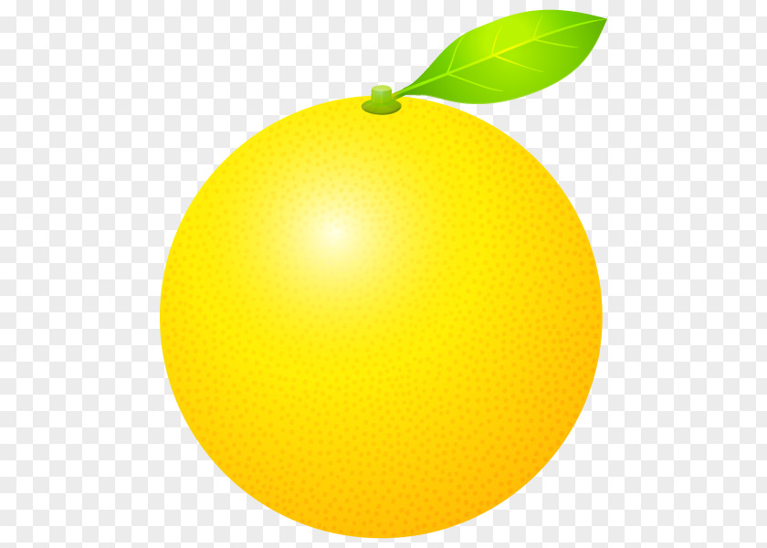 Lemon Yellow Citric Acid Yuzu PNG