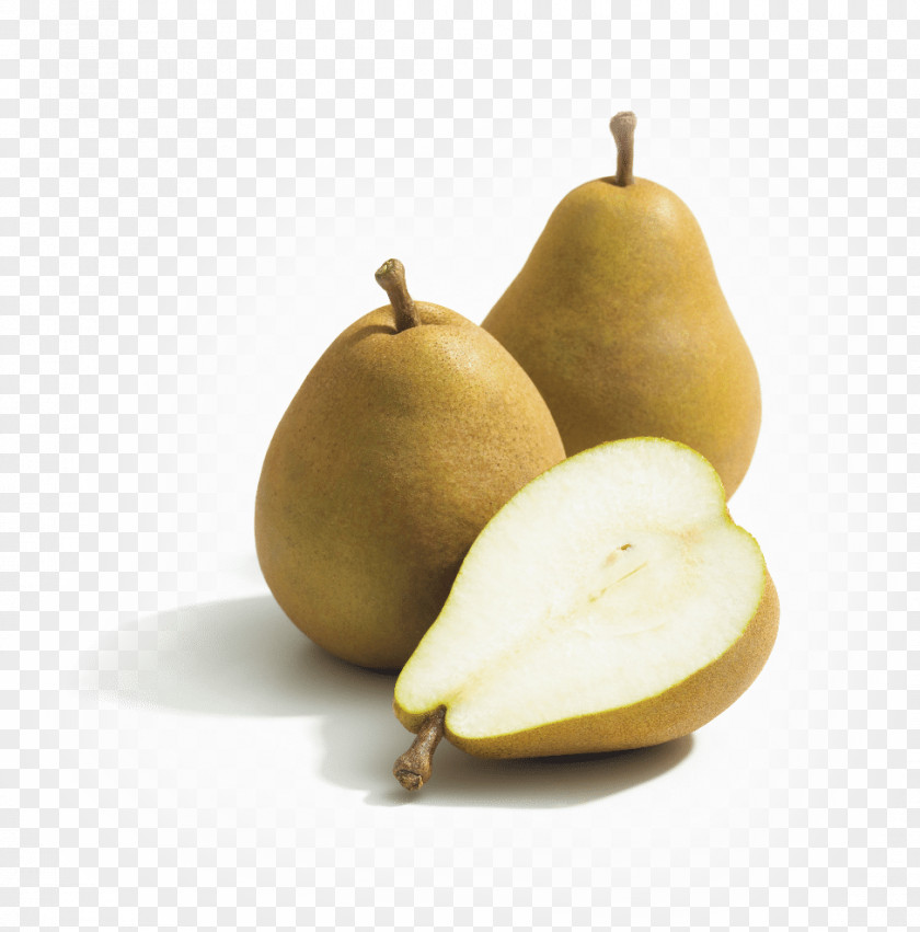 Pear David J Elliot & Son Food Crisp Taylor's Gold Bosc PNG