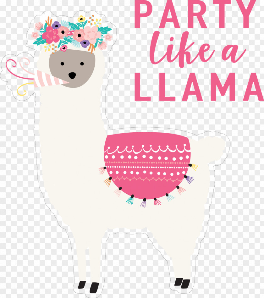 Sheep Alpaca Llama Cartoon PNG