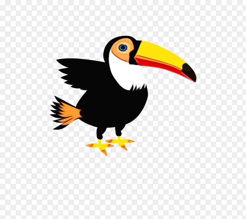 Toucan Clip Art Beak Bird Hornbill PNG
